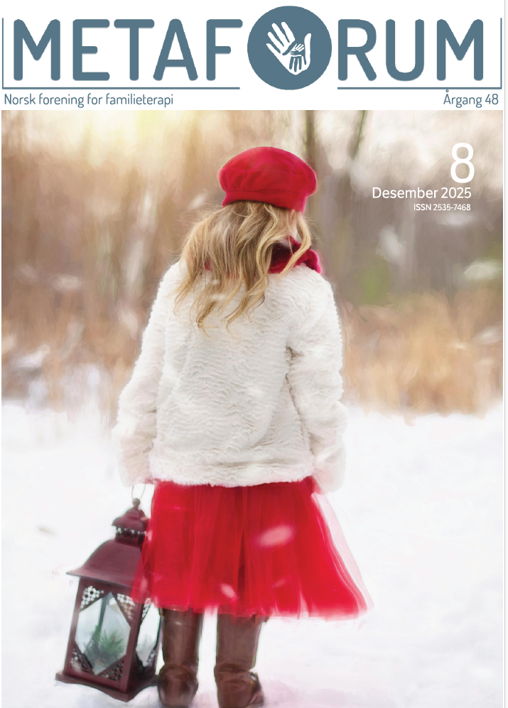 Artikkelbilde til artikkelen Metaforum desember 2025